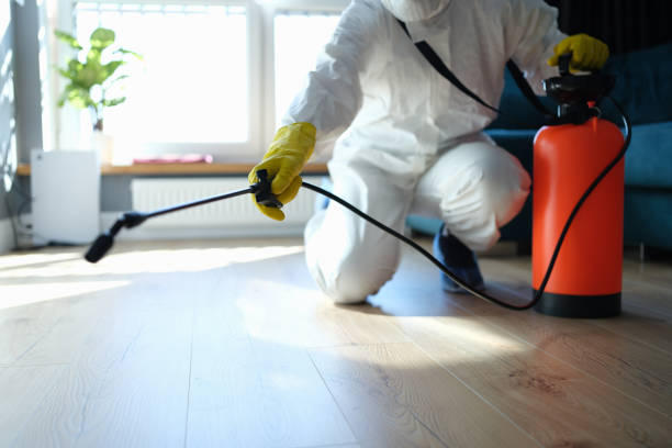 Reliable Odor Removal contractor in Auburndale, FL by Trauma Clean Pros